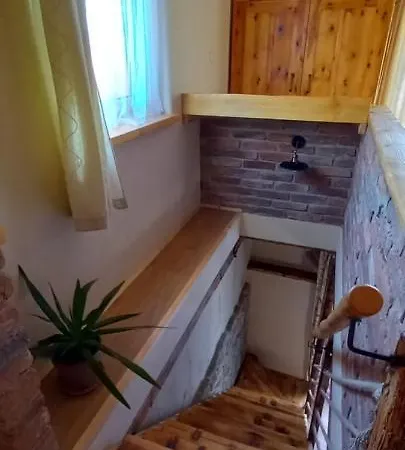 Apartment Terra