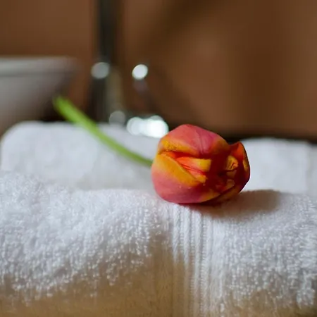 Terra Apartmán Stara Lesna