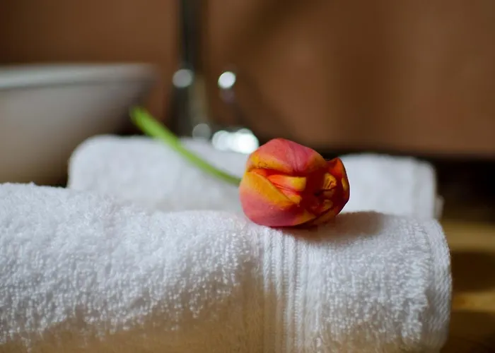 Terra 아파트 Stará Lesná